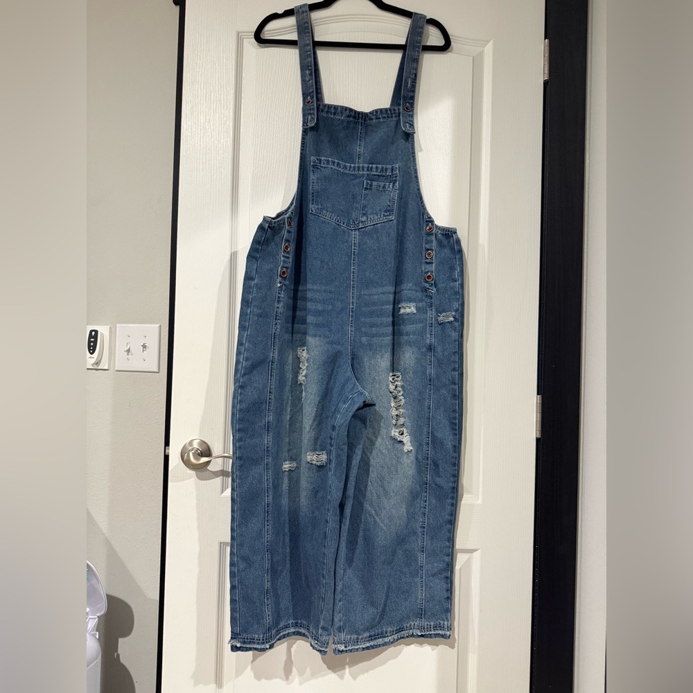 Amazon Blue Denim Cropped Overalls